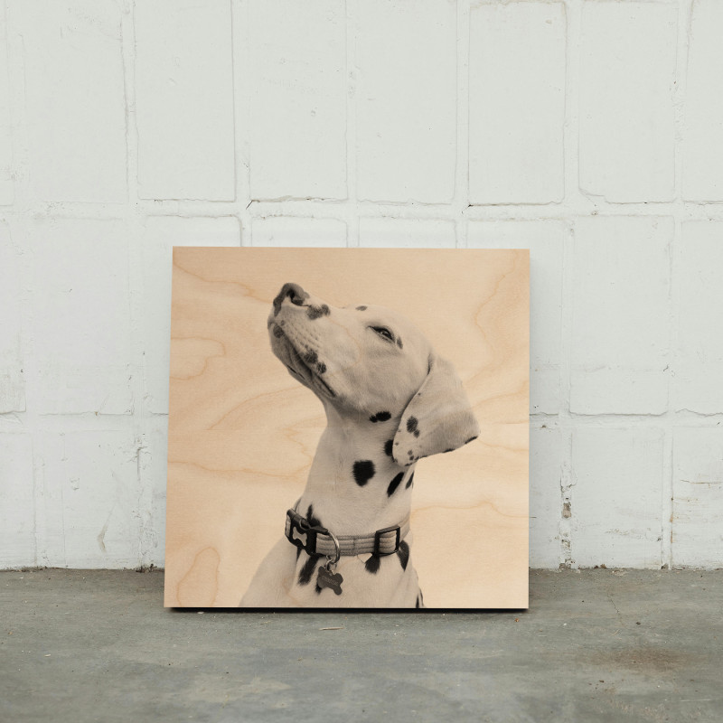 50x50cm Druk Na Sklejce