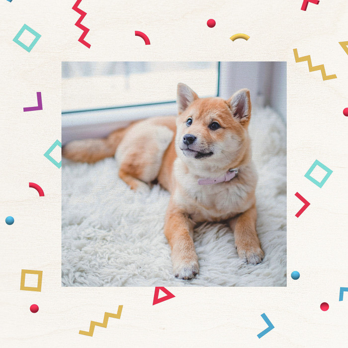 Druk na sklejce w ramce - Kształy