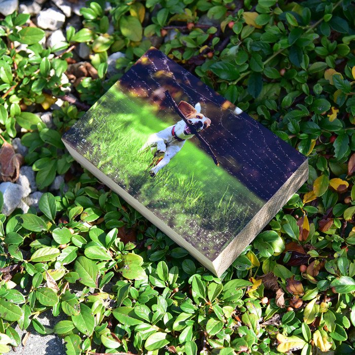 copy of copy of Klocek Dębowy 8x8cm